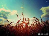 淮安茂渺广告传媒有限公司