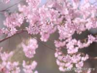 淮安茂渺广告传媒有限公司