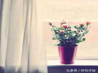 淮安茂渺广告传媒有限公司
