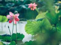 淮安茂渺广告传媒有限公司