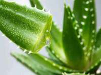 淮安茂渺广告传媒有限公司