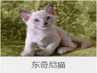 淮安茂渺广告传媒有限公司