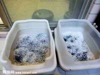 淮安茂渺广告传媒有限公司