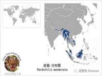 淮安茂渺广告传媒有限公司