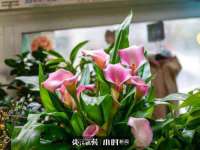 淮安茂渺广告传媒有限公司