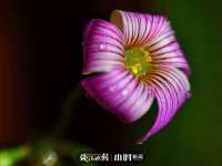 淮安茂渺广告传媒有限公司