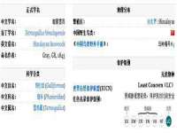 淮安茂渺广告传媒有限公司