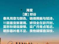 淮安茂渺广告传媒有限公司