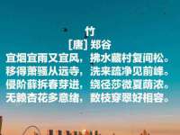 淮安茂渺广告传媒有限公司