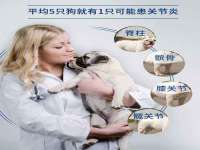 淮安茂渺广告传媒有限公司