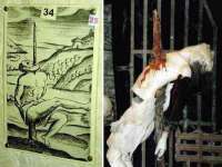 淮安茂渺广告传媒有限公司