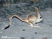 淮安茂渺广告传媒有限公司
