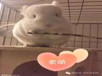 淮安茂渺广告传媒有限公司