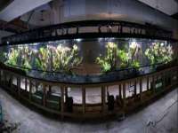 淮安茂渺广告传媒有限公司