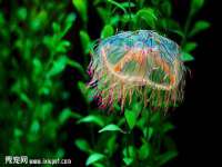 淮安茂渺广告传媒有限公司