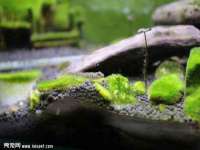 淮安茂渺广告传媒有限公司