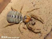 淮安茂渺广告传媒有限公司