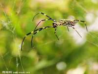 淮安茂渺广告传媒有限公司