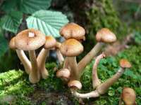 淮安茂渺广告传媒有限公司