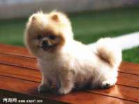 淮安茂渺广告传媒有限公司