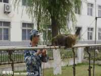 淮安茂渺广告传媒有限公司