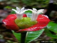 淮安茂渺广告传媒有限公司