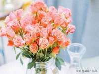 淮安茂渺广告传媒有限公司