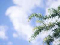 淮安茂渺广告传媒有限公司