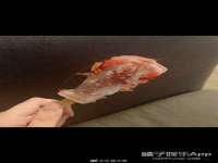 淮安茂渺广告传媒有限公司